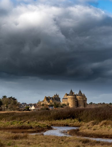 2022-02-02/neosilencers
neosilencers [Paysages et éléments naturels]
