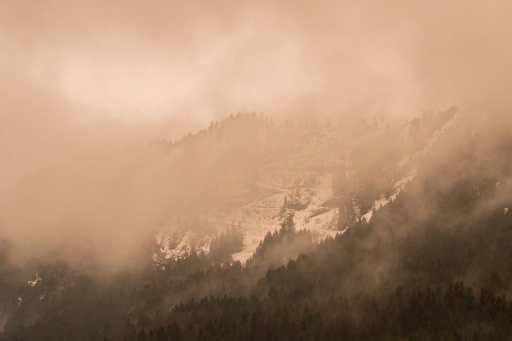 2022-03-15/ASM
ASM [Paysages et éléments naturels]
