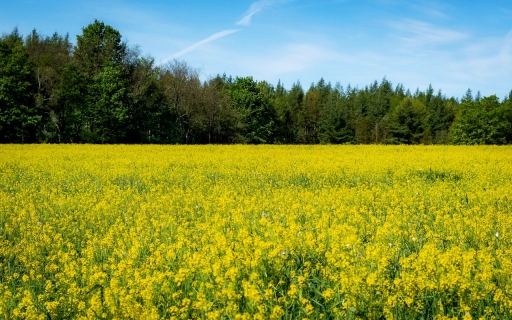 2022-05-25/Charrac
Charrac [Paysages et éléments naturels]
