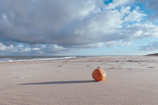 2023-01-28/ Electro35
Electro35 [Paysages et éléments naturels]
