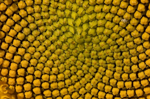 2014-08-02 / Mathieu
Mathieu [Graphismes]
