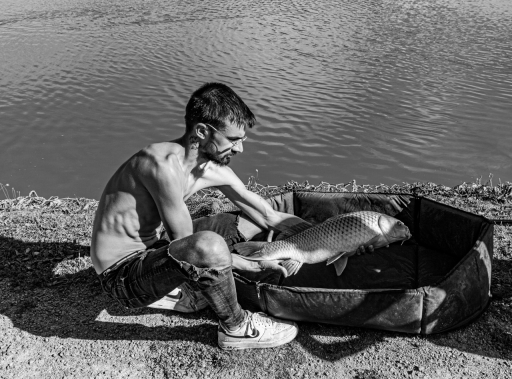 2023-08-22/einstein1976
einstein1976 [Portraits]
