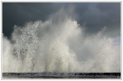 2014-03-05 / ergerg
ergerg [La mer, l'ocean]
