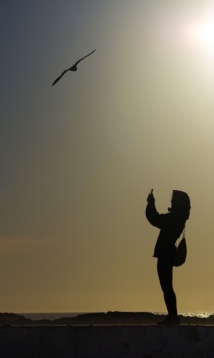 2015-05-27/olilignan
olilignan [Rues/Ambiance de ville/Paysages urbains]
