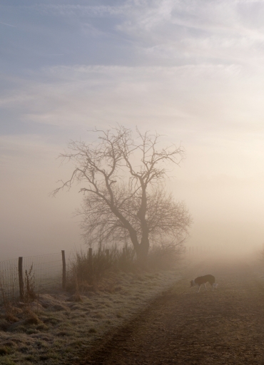 2023-03-29/ Hermès
Hermès [Paysages et éléments naturels]
