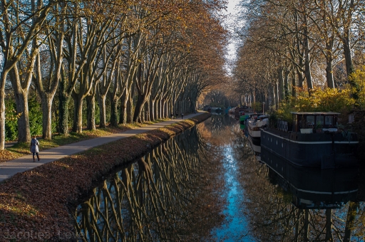 2020-12-01/Pech_les oies
Pech_les oies [Paysages et éléments naturels]
