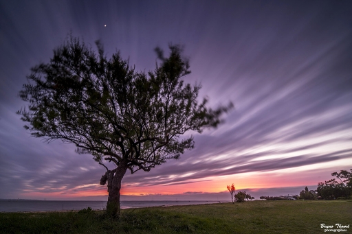 2019-10-23 Daenelyn
Daenelyn [Paysages et elements naturels]
