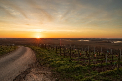 2021-02-24/Zegaby
ZeGaby  [Paysages et éléments naturels]
