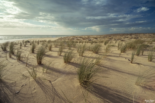 2019-05-22/Daenelyn
Daenelyn [Paysages et elements naturels]
