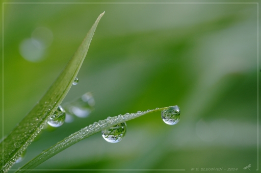 2014-07-02/ torr penn
torr penn [Gouttes]
