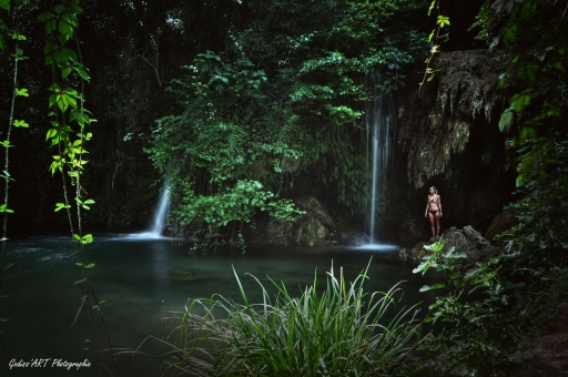 2021-02-03/CarpoDingo
CarpoDingo [Paysages et éléments naturels]
