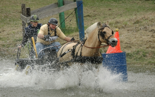 2023-02-07/ Fred59
Fred59 [Sport]
