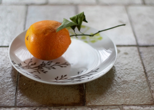 2024-01-23/Pech_les oies
Pech_les oies [Natures mortes, photos d'objets]
