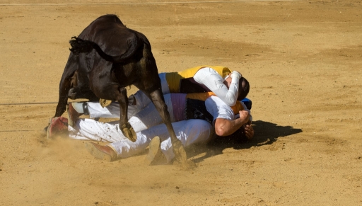 2023-01-18/Fred59
Fred59 [Sport]
