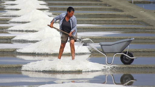 2018-10-17/papa
papa [Portraits]
