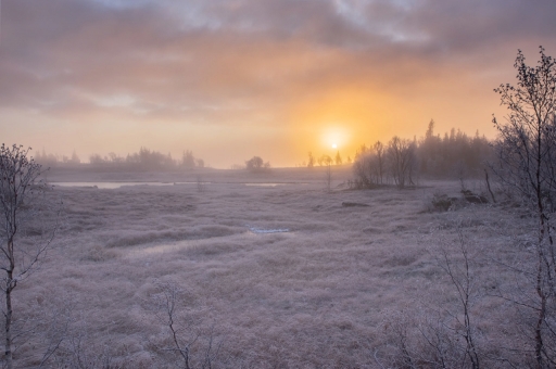2019-11-12/ASM
ASM [Paysages et éléments naturels ]
