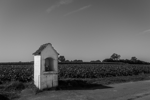 2013-10-01 / Cachar
Cachar [Noir et Blanc,Sepia et desaturation partielle]
