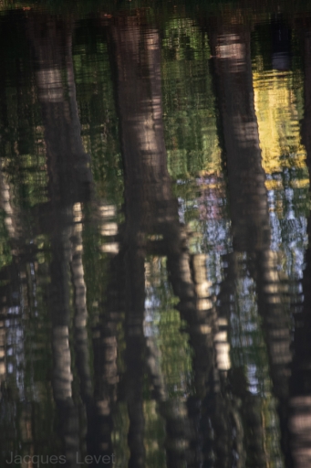 2021-10-27/Pech_les oies 
Pech_les oies [Paysages et éléments naturels]
