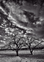 Nom du fichier=15031408073118451713069800.jpg
Taille du fichier=232Ko
Dimensions : 574x800
Ajouté le : 14 Mars 2015 15031408073118451713069800.jpg