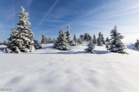 Nom du fichier=16030109130521144414018283.jpg
Taille du fichier=198Ko
Dimensions : 1024x681
Ajouté le : 01 Mars 2016 16030109130521144414018283.jpg