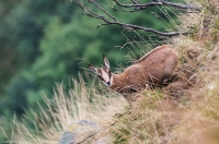 Nom du fichier=17082015-_IGP0304-2_zpsgm3f5abd.jpg
Taille du fichier=252Ko
Dimensions : 1024x678
Ajouté le : 18 Août 2015 17082015-_IGP0304-2_zpsgm3f5abd.jpg