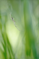 Nom du fichier=18-05-14macro5_zps91051679.jpg
Taille du fichier=274Ko
Dimensions : 533x800
Ajouté le : 20 Mai 2014 18-05-14macro5_zps91051679.jpg