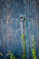 Nom du fichier=20110209235116760517107188.jpg
Taille du fichier=465Ko
Dimensions : 600x900
Ajouté le : 03 Novembre 2020 20110209235116760517107188.jpg