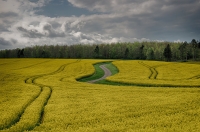 Nom du fichier=22042607153224454617878061.jpg
Taille du fichier=399Ko
Dimensions : 1280x851
Ajouté le : 26 Avril 2022 22042607153224454617878061.jpg