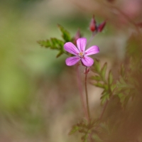 Nom du fichier=22050307405924454617883865.jpg
Taille du fichier=172Ko
Dimensions : 900x900
Ajouté le : 03 Mai 2022 22050307405924454617883865.jpg