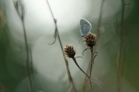 Nom du fichier=22092107133024454618003756.jpg
Taille du fichier=232Ko
Dimensions : 1280x853
Ajouté le : 21 Septembre 2022 22092107133024454618003756.jpg