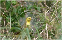 Nom du fichier=tTl5c.jpg
Taille du fichier=338Ko
Dimensions : 1000x662
Ajouté le : 17 Janvier 2017 tTl5c.jpg