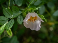 Nom du fichier=vd4XPb--PKS4459.jpg
Taille du fichier=406Ko
Dimensions : 1200x900
Ajouté le : 13 Mai 2023 vd4XPb--PKS4459.jpg