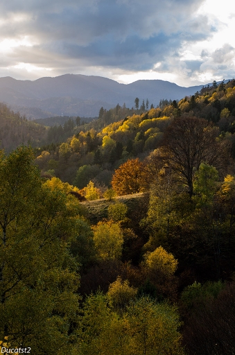 2013-11-12 / ducatst2
ducatst2 [ Paysages ]
