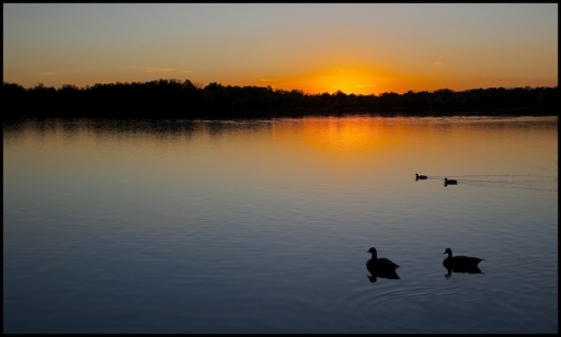 2012-11-07 / Mickmac
Par Mickmac dans lever et coucher de soleil 
