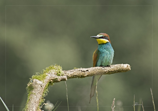 2014-06-04 / deche
deche "test " 
