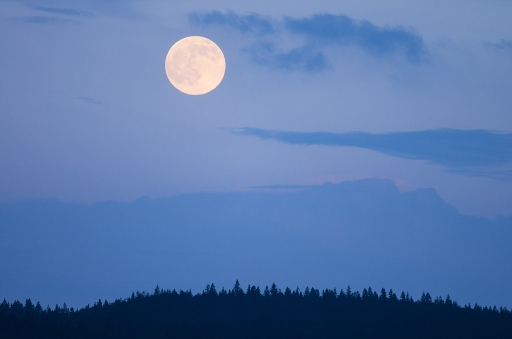 2014-06-12 / elficologue
elficologue  [ Coucher / Lever de soleil ]
