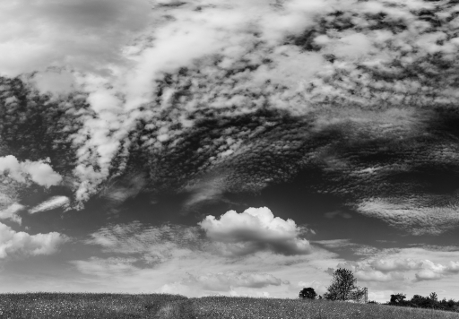 2014-09-07 / neosilencers
neosilencers [ Noir et Blanc, Sepia et desaturation partielle ]
