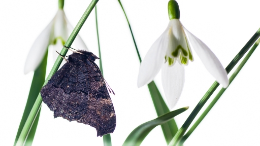 2014-03-22 / galuchar
galuchar [ Studio & inclassables ]
