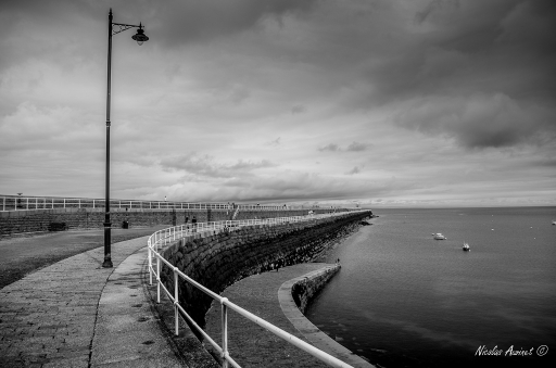 2014-09-03 / Bloody
Bloody  [ Noir et Blanc, Sepia et desaturation partielle ]
