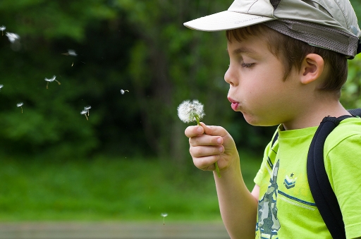 2013-05-11 / phoenix1366
phoenix1366 [ Portraits de bebes et enfants ]
