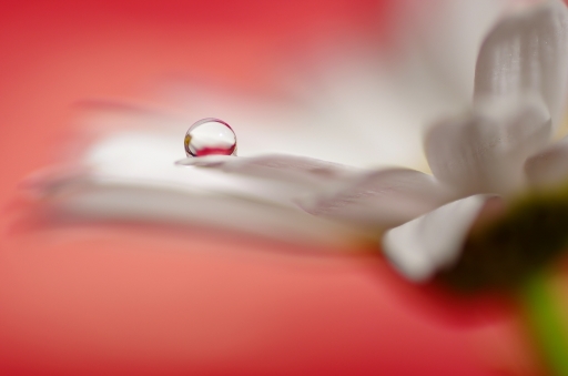 2013-06-18 / torr penn
torr penn [ Gouttes ]
