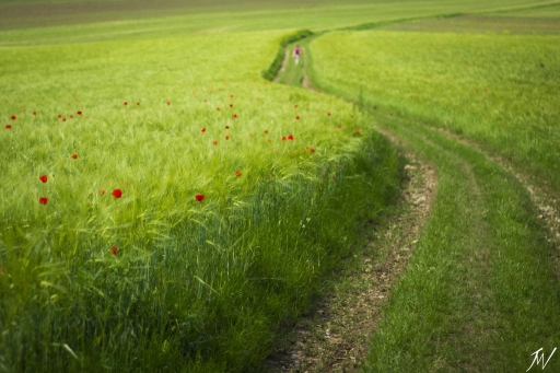 2013-05-11 / Jérémy67
Jeremy67 [ Paysages ]
