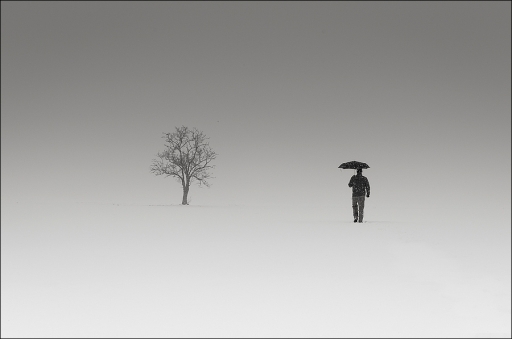 2012-02-11 / genepi
genepi [ Noir et Blanc, Sepia et desaturation partielle ]
