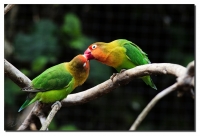 Nom du fichier=2014_0520_Parc_des_oiseaux_JLUC7696_phatch.jpg
Taille du fichier=278Ko
Dimensions : 1024x700
Ajouté le : 23 Mai 2014 2014_0520_Parc_des_oiseaux_JLUC7696_phatch.jpg