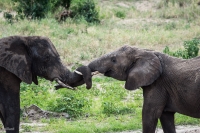 Nom du fichier=58862113012014sanstitretest1Pentax55108.jpg
Taille du fichier=314Ko
Dimensions : 1024x681
Ajouté le : 27 Janvier 2014 58862113012014sanstitretest1Pentax55108.jpg