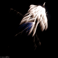 Nom du fichier=_IGP5874.jpg
Taille du fichier=255Ko
Dimensions : 800x800
Ajouté le : 15 Juillet 2013 _IGP5874.jpg