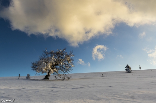 2017-12-09 / ducatst2
ducatst2 [Paysages et elements naturels]
