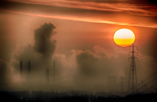 2018-02-02 / step55
step55 [Environnement urbain et constructions humaines]
