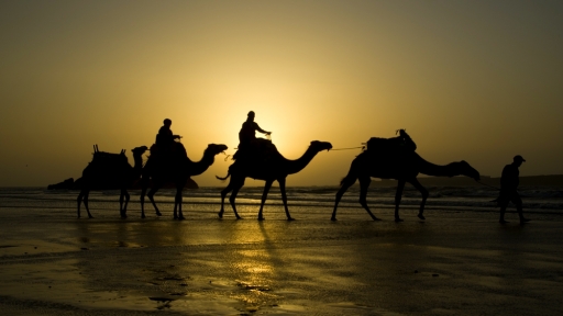 2018-09-08 / FreD69
FreD69 [Paysages et elements naturels]
