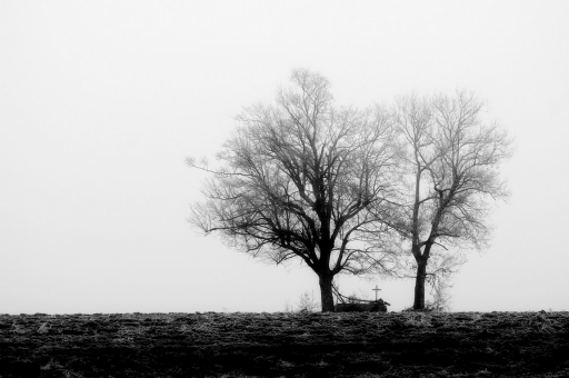 2020-06-06 / charlysouho
charlysouho [Paysages et éléments naturels]
